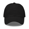 BlindPay Dad Hat