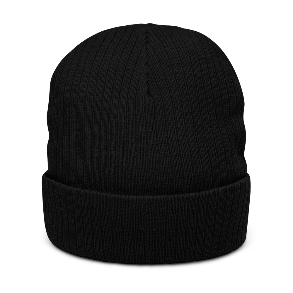 BlindPay Beanie