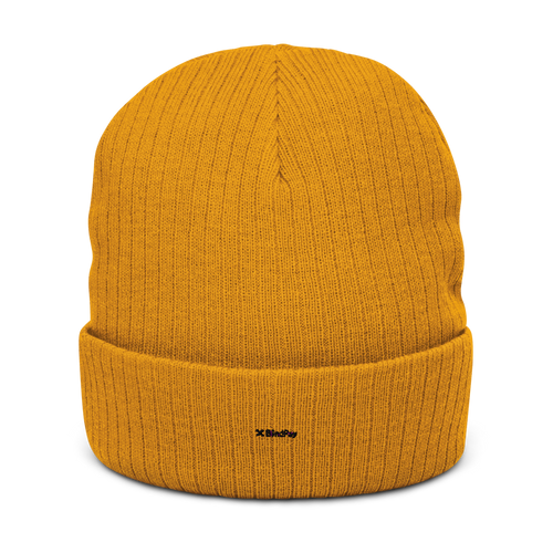 BlindPay Beanie